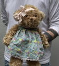 Oso Bukowski 25 cm (1 ud.)