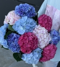 Ramo de hortensias (11 unidades)