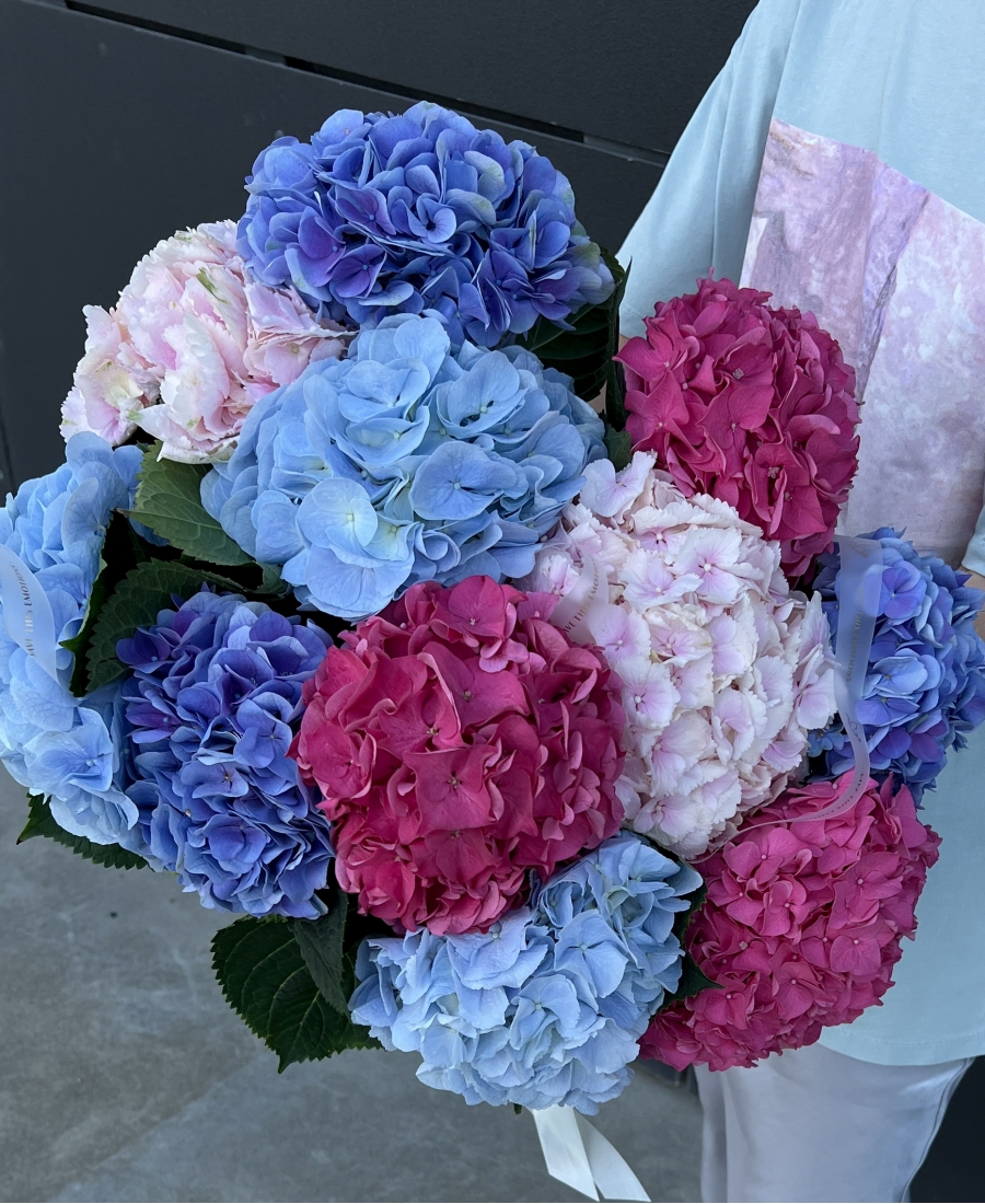 Ramo de hortensias (11 unidades)