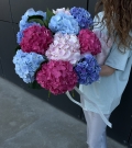Ramo de hortensias (11 unidades)