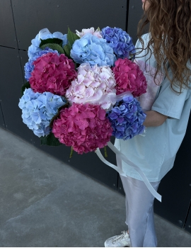 Ramo de hortensias (11 unidades)