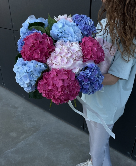 Ramo de hortensias (11 unidades)