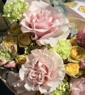 Flower compliment Citrus Blossom