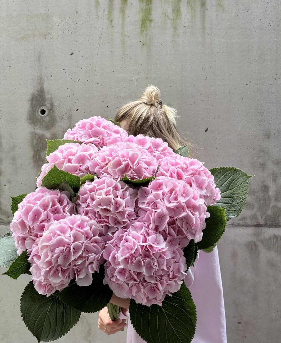 Ramo de Hortensias Rosas