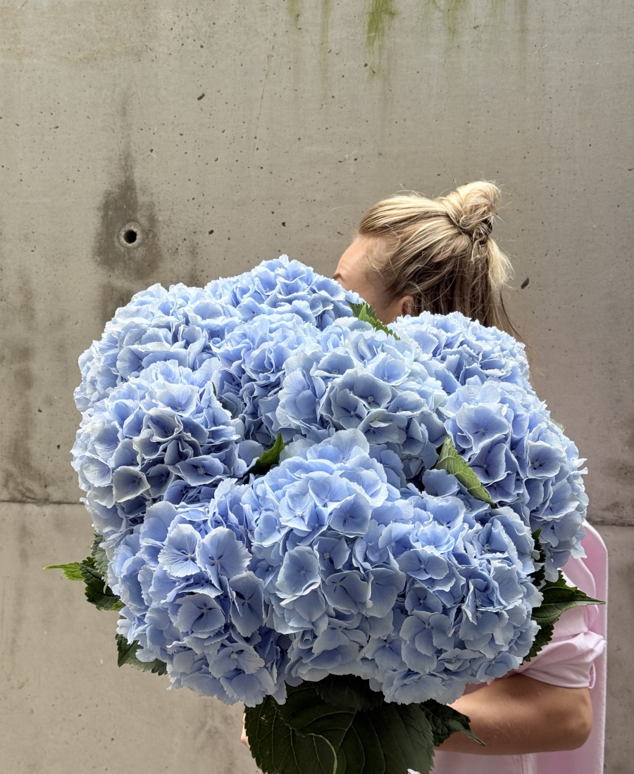 Ramo de Hortensias Azul Cielo