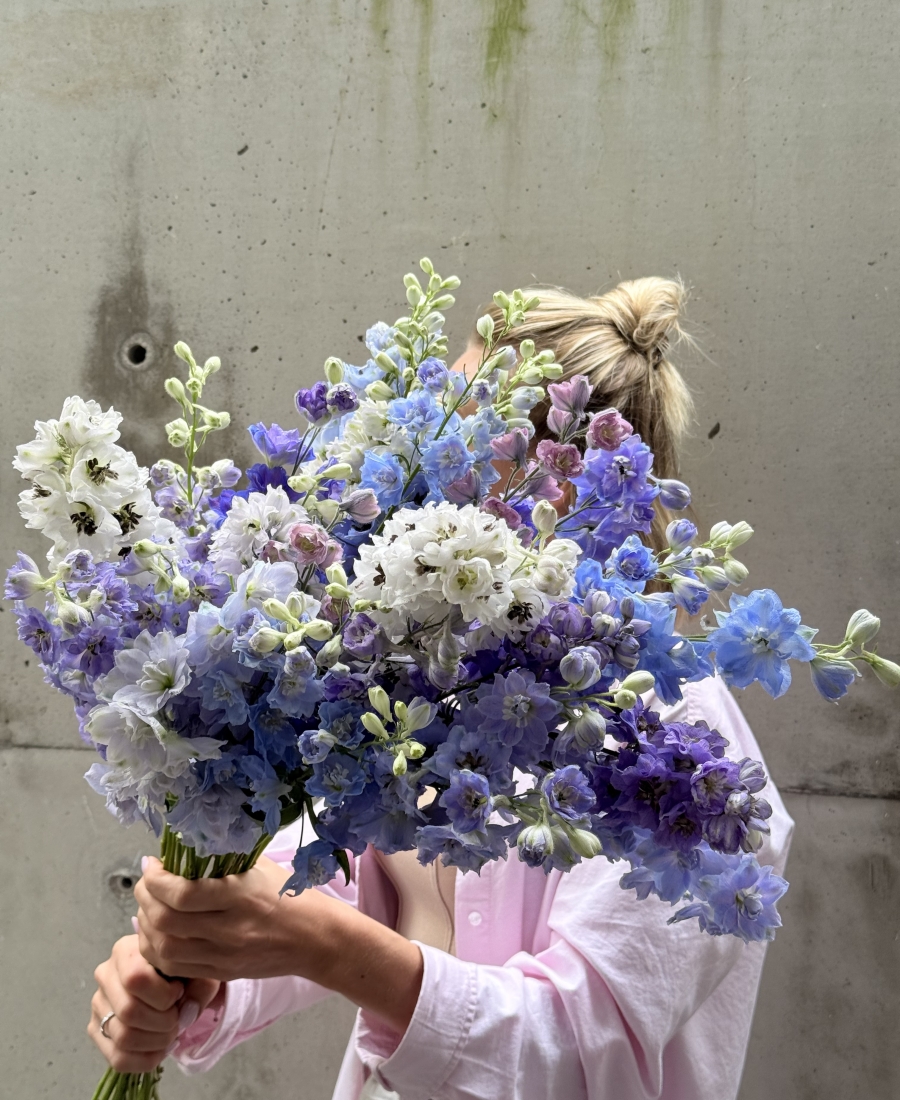 Ramo de Delphinium