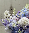 Ramo de Delphinium