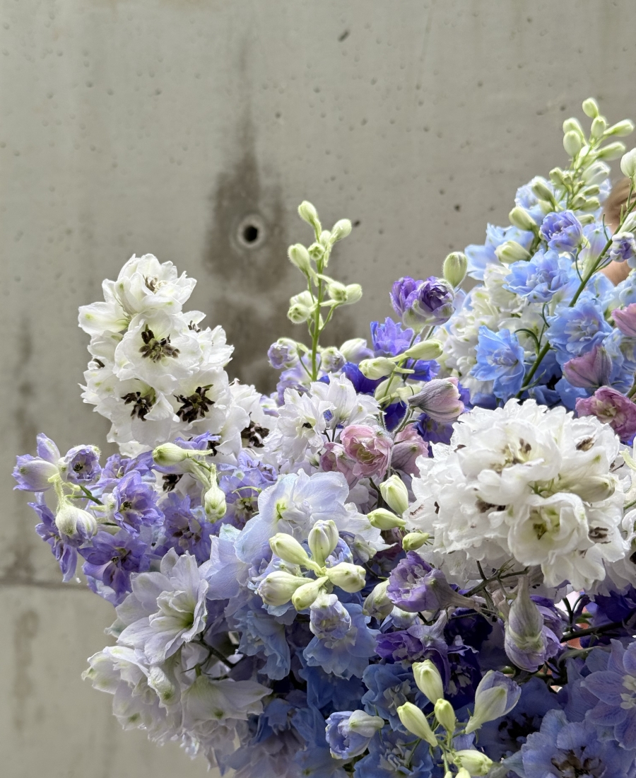 Ramo de Delphinium