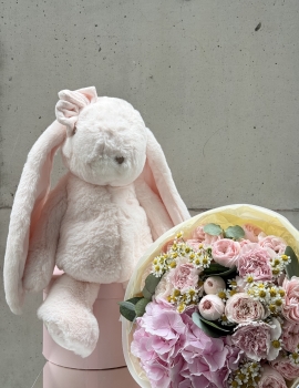 Cudly Canina Misty Rose