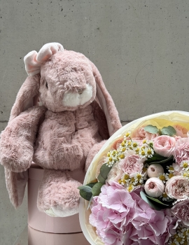 Cudly Canina Antique Rose