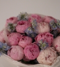 Light pink peonies with delphinium