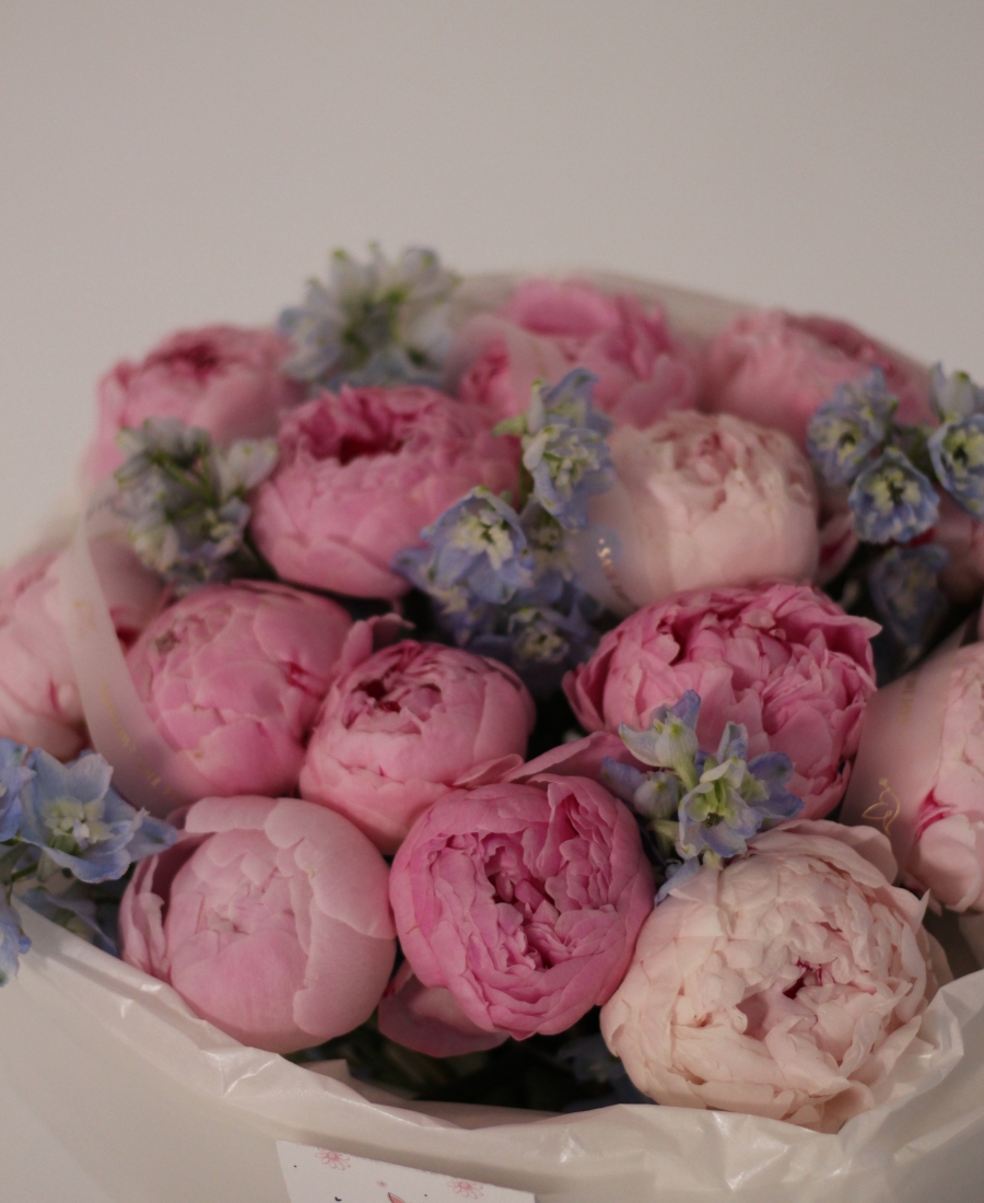 Light pink peonies with delphinium