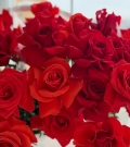 basket with red and scarlet red roses