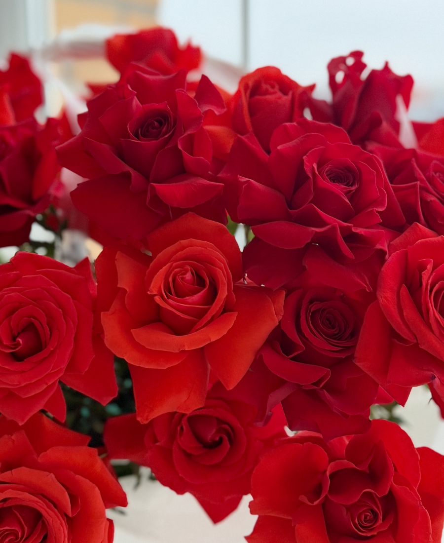 basket with red and scarlet red roses