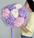 Pastel hydrangea mix