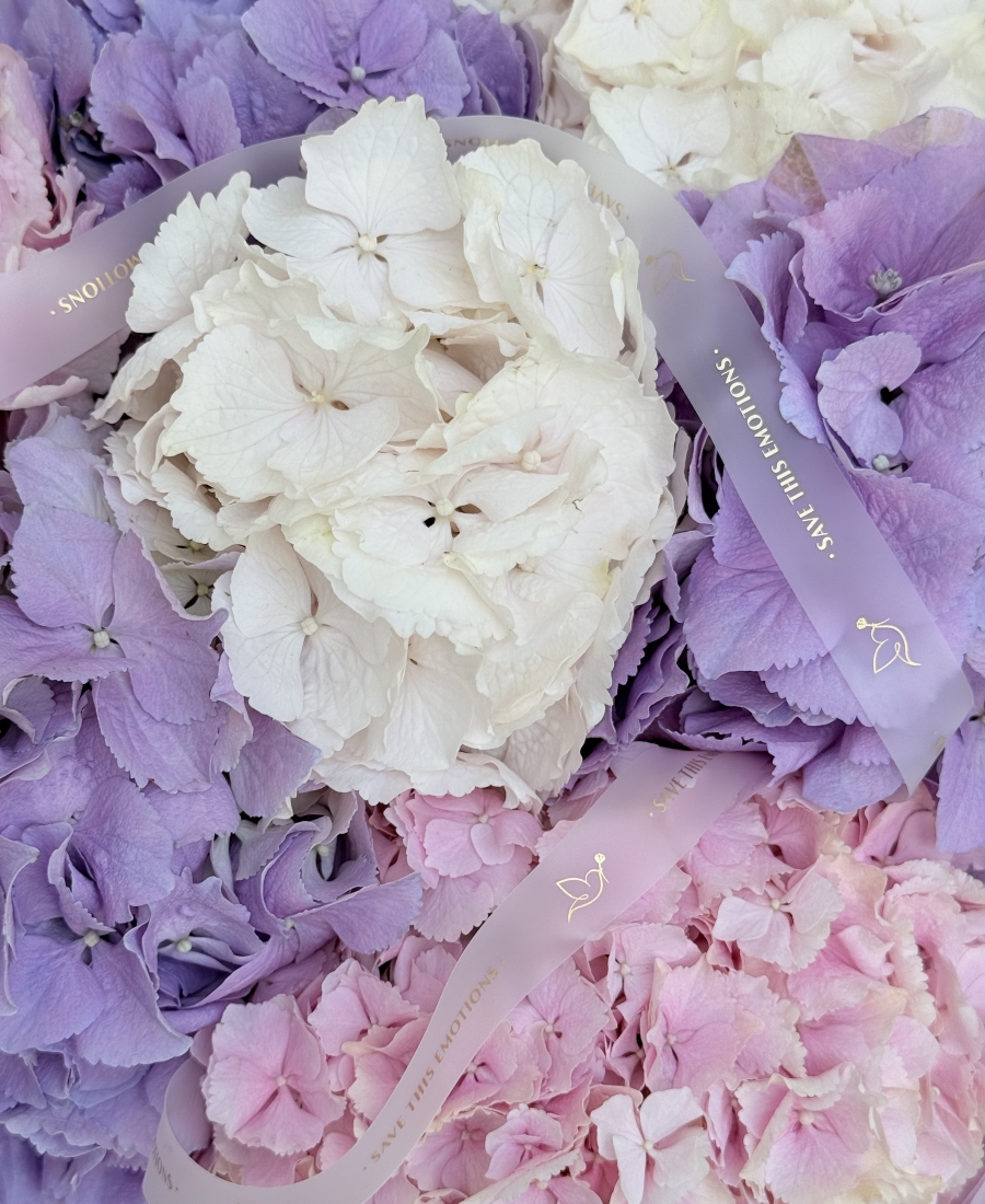 Pastel hydrangea mix