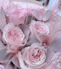 O'hara Rosa Aromático
