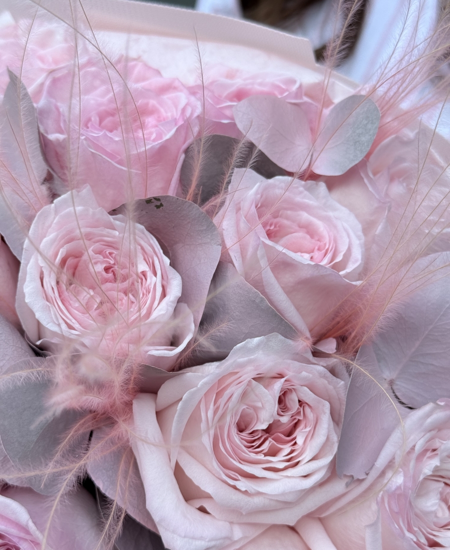 O'hara Rosa Aromático