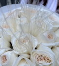 O'hara Blanco Aromático