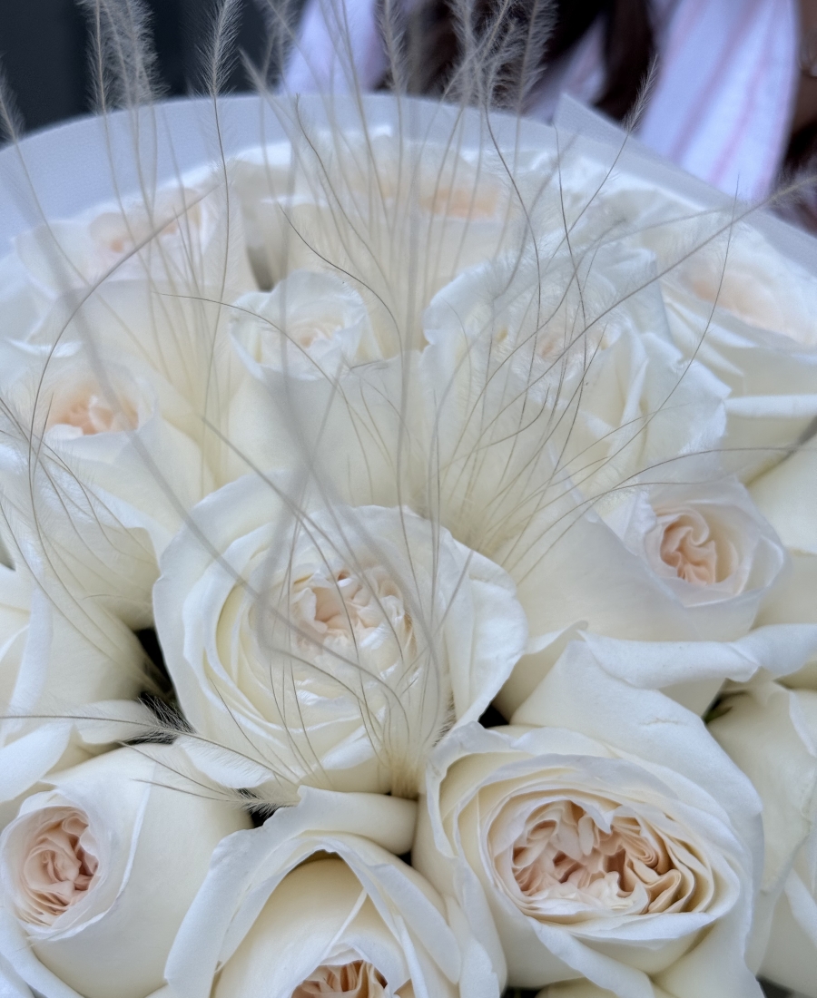 O'hara Blanco Aromático