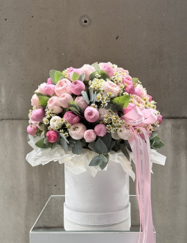 Caja con rosa arbustiva y matriz