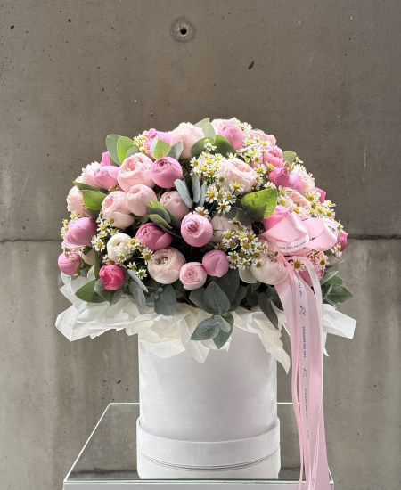 Caja con rosa arbustiva y matriz
