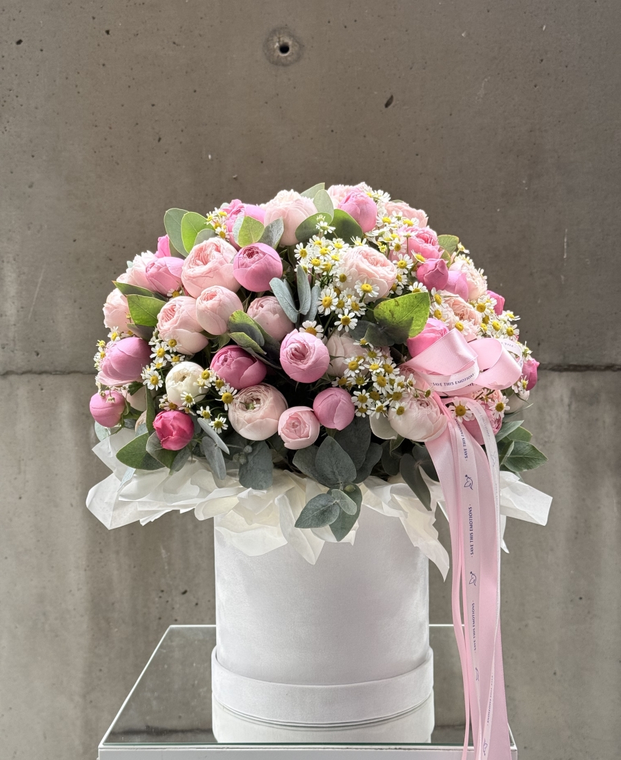 Caja con rosa arbustiva y matriz