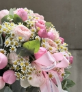 Caja con rosa arbustiva y matriz