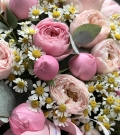 Caja con rosa arbustiva y matriz