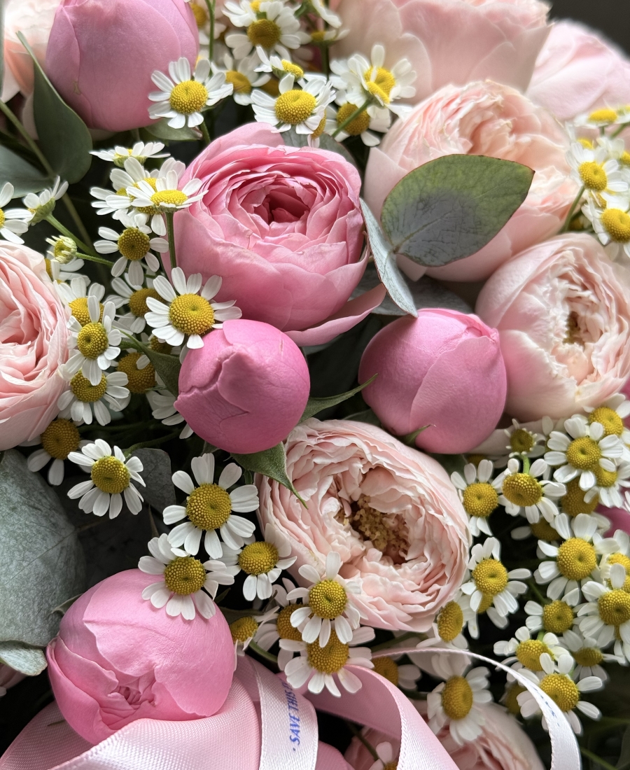Caja con rosa arbustiva y matriz