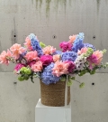 “Colourful Summer”