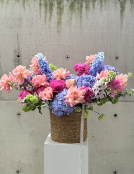 “Colourful Summer”