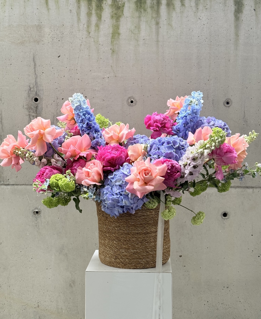 “Colourful Summer”