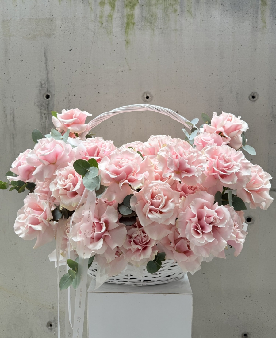 "Pink Mondial"