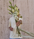 "White Silk"
