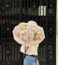 "Blush Cloud" - Ramo de Hortensias XL