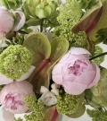 “Statement Bloom”