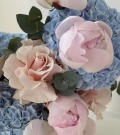 “Wild Bloom”
