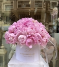 "Peony Éclat"