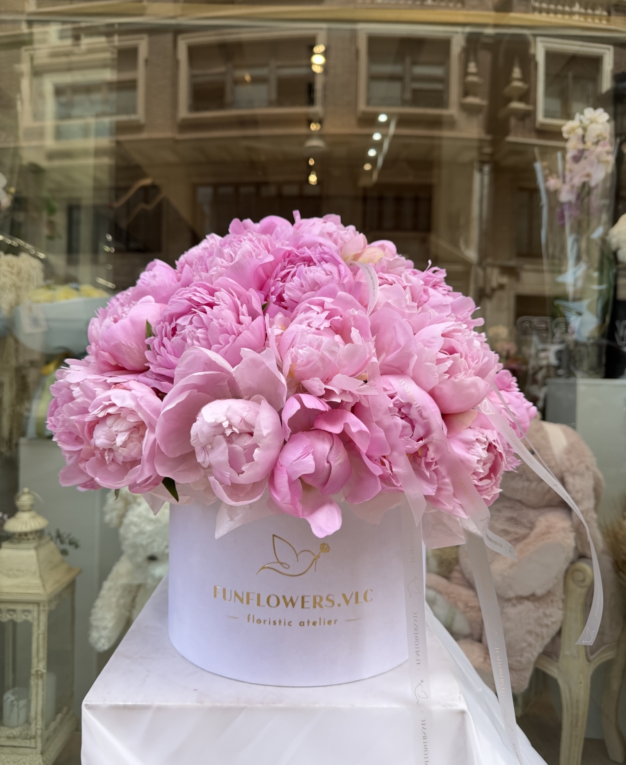 "Peony Éclat"