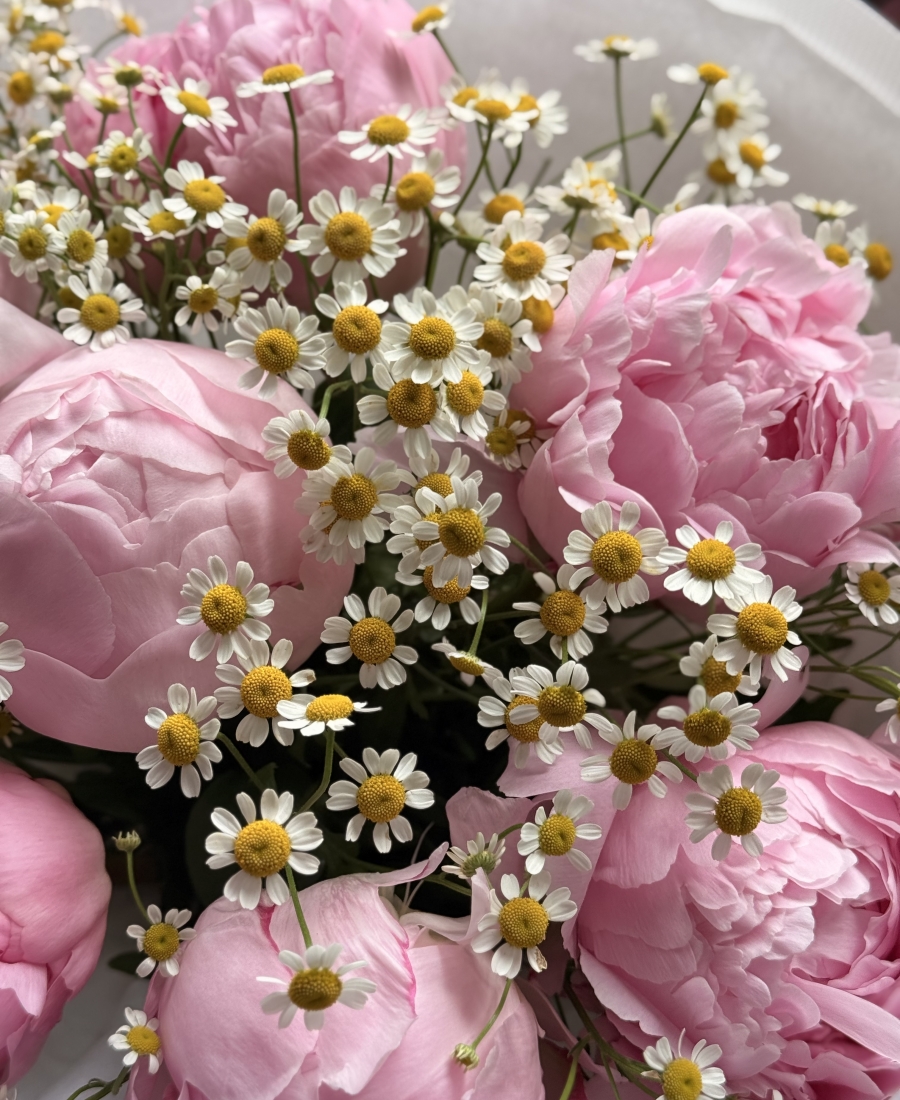 "Daisy Peony"