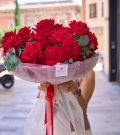 French roses - Freedom