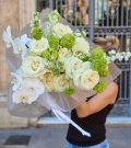 "Ivory Garden"
