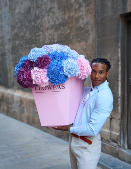"Hydrangea Grand"