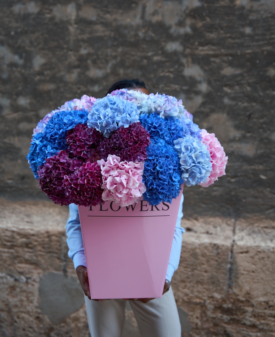 "Hydrangea Grand"