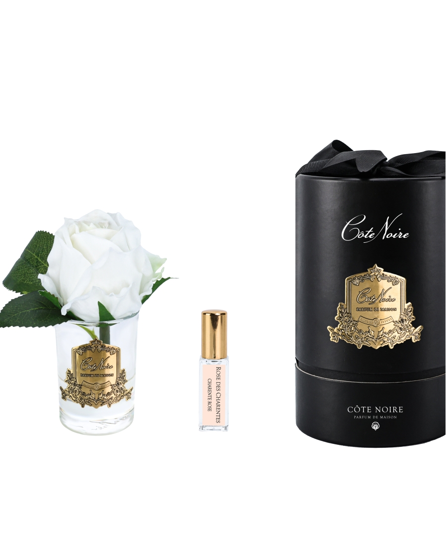 "Côte Noire" - Scented White Rose Bud
