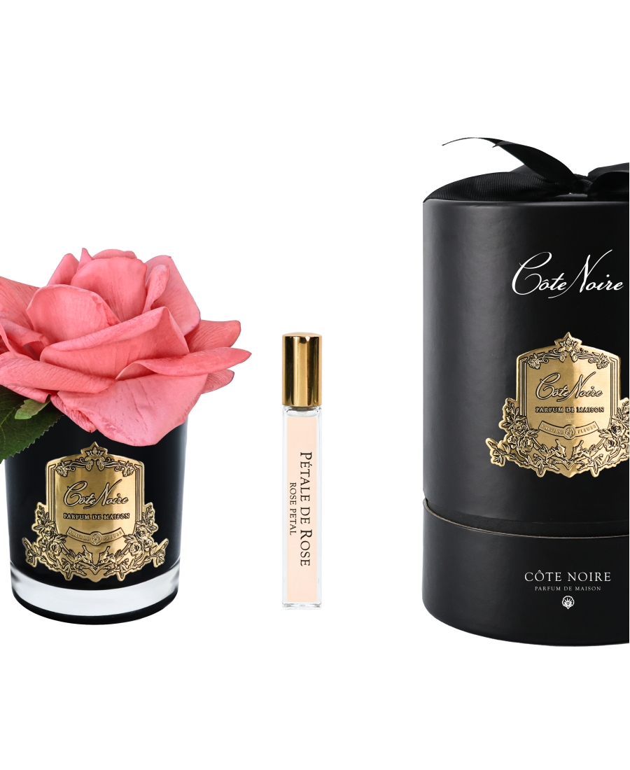 "Côte Noire" - Rosa Melocotón Perfumada