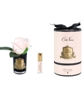 "Côte Noire" - Rosa Champagne Perfumada