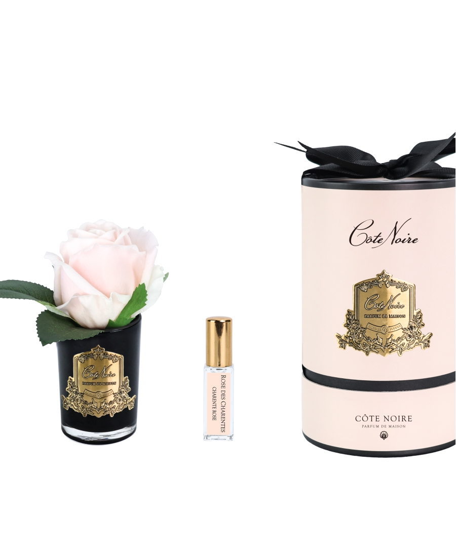 "Côte Noire" - Rosa Champagne Perfumada