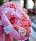 "Valencia Blush"